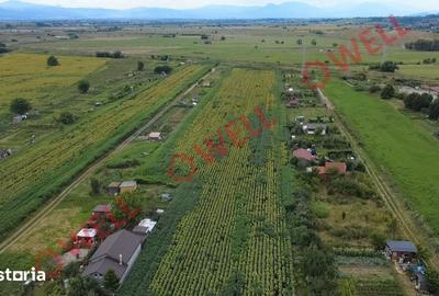 Teren de 912 mp, în Central