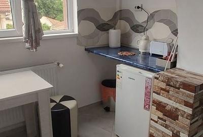 Casă individuală cu 10 camere cu Canalizare în Trocadero - 9