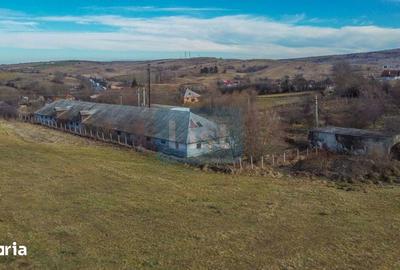 Teren de 7400 mp, în Căpușu Mare - 4