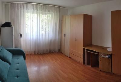 Garsonieră semidecomandată în Dosu Bricii - 2