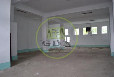 Spațiu comercial, de 450 mp, în Terezian - 9