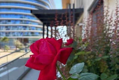 Apartament cu 2 camere în Nord - 11