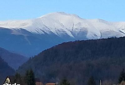 Teren de 1200 mp, în Dâmbovicioara