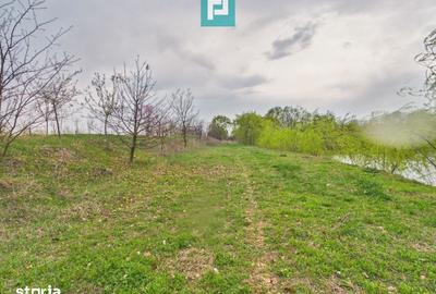 Teren de 10000 mp, în Grădiște - 6