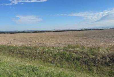 Teren agricol extravilan de 21496 mp, în Săcădat - 5