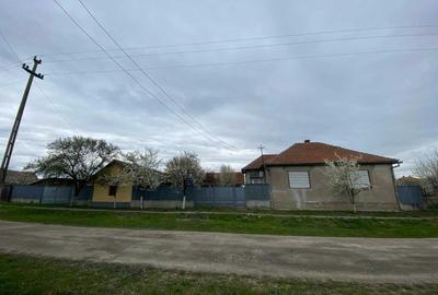 Casă cu 4 camere cu Teren 2880 Mp în Sintea Mare - 5
