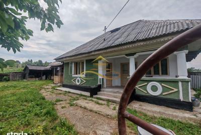 Casă cu 4 camere cu Teren 3300 Mp în Blăgești - 2