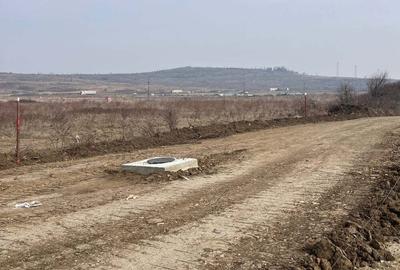 Teren de 2500 mp, în Mărăcineanu