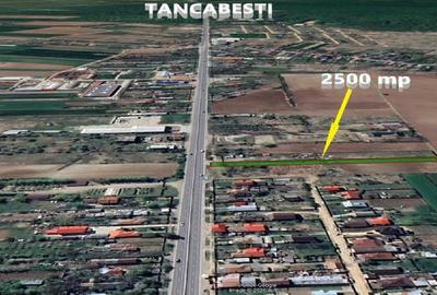 Teren agricol intravilan de 2500 mp, în Ciolpani