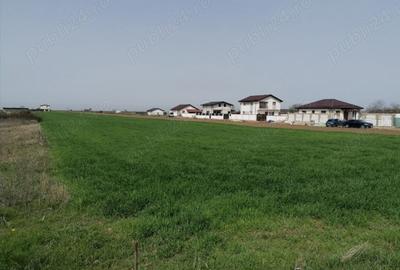 Teren de 7500 mp, în Adunații-Copăceni