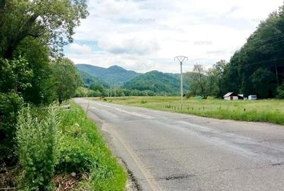 Teren agricol intravilan de 59303 mp, în Cheile Râșnoavei - 2