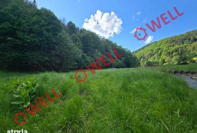 Teren de 57000 mp, în Vama Buzăului - 6