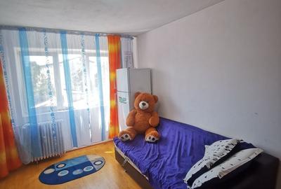 Garsonieră semidecomandată în Narcisa - 7