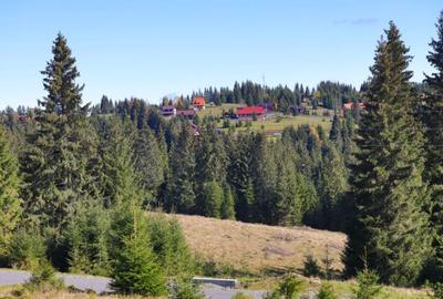 Teren extravilan de 4140 mp, în Beliș - 1