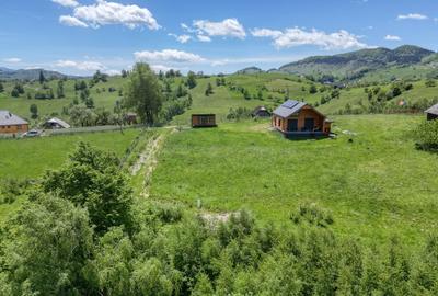 Teren Construcții intravilan de 1400 mp, în Moieciu - 8