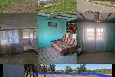 Casă cu Teren 3000 Mp în Dăeni - 6