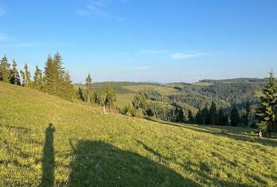 Teren de 500000 mp, în Ciocănești - 18