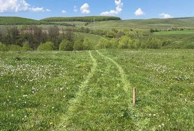 Teren de 2800 mp, în Podu Oltului - 3
