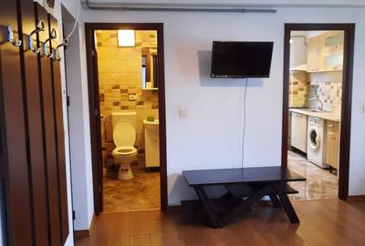 Apartament cu 2 camere semidecomandat, mobilat în Podul de Piatră - 4