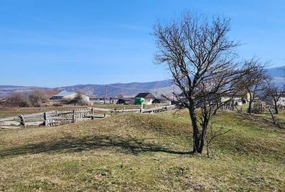 Teren de 4000 mp, în Pianu - 2