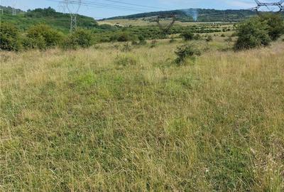 Teren de 4200 mp, în Nord