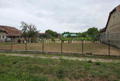 Teren de 600 mp, în Dudeștii Noi - 1