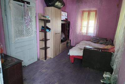 Casă cu 3 camere cu Teren 10000 Mp în Central - 10