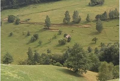 Teren de 10000 mp, în Moieciu - 1