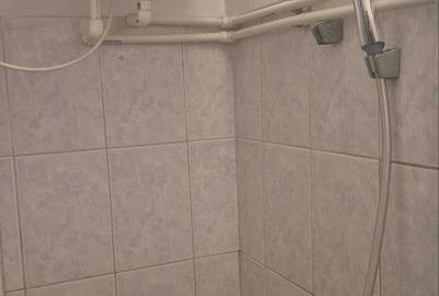 Garsonieră decomandată în Podu Roș - 8