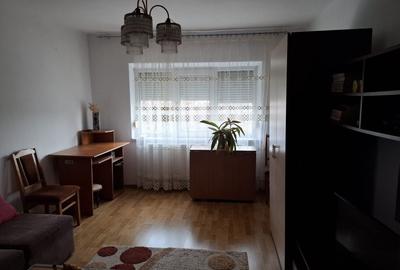 Apartament cu 2 camere decomandat în Broșteni - 1