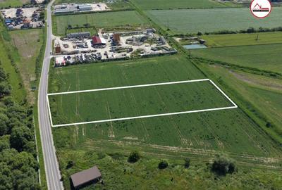 Teren Construcții intravilan de 6500 mp, în Colonia Bod - 2