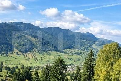 Teren de 22870 mp, în Stoicănești