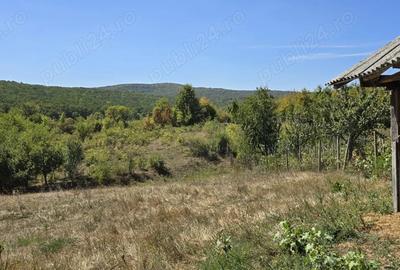 Casă cu 2 camere în Chicerea - 5