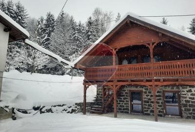 Hotel/Pensiune, de 280 mp, în Teceu Mic