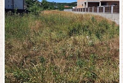 Teren agricol intravilan de 3003 mp, în Bascov - 1
