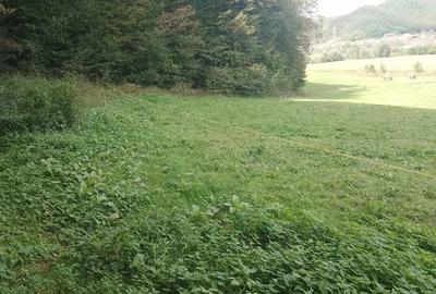 Teren de 5600 mp, în Nord - 3