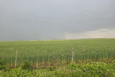 Teren de 4840 mp, în Brănești