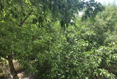 Apartament cu 2 camere decomandat în Colentina - 7