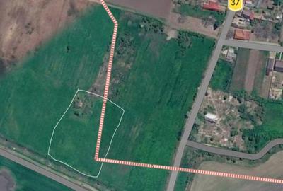 Teren de 4100 mp, în Gomoești
