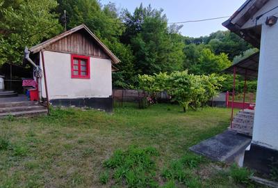 Casă individuală cu 4 camere cu Teren 8700 Mp în Băița - 10