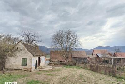 Casă cu Teren 1355 Mp în Ștrand - 5