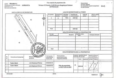 Teren Construcții extravilan de 4997 mp, în Gorgota