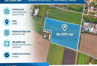 Teren de 36500 mp, în Sânnicolau Mic