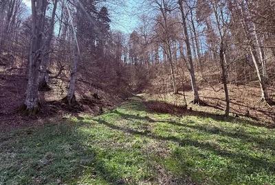Teren de 7300 mp, în Tărlungeni