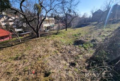 Teren Construcții intravilan de 820 mp, în Valea Roșie - 2
