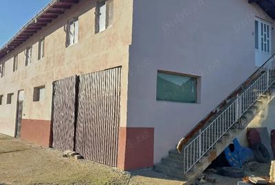 Casă în Bolovani - 13