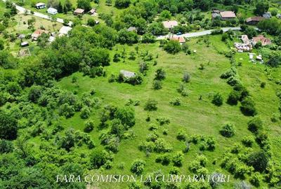 Teren Construcții intravilan de 19822 mp, în Runcu - 6