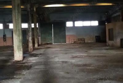Spațiu comercial, de 6,800 mp, în Lipova - 2