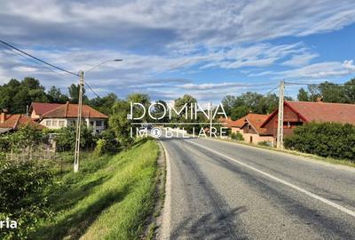 Casă cu 4 camere în Bălcești - 10