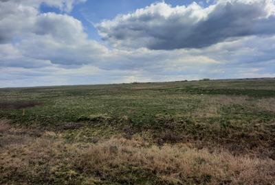 Teren extravilan de 13000 mp, în Sânmihaiu Român